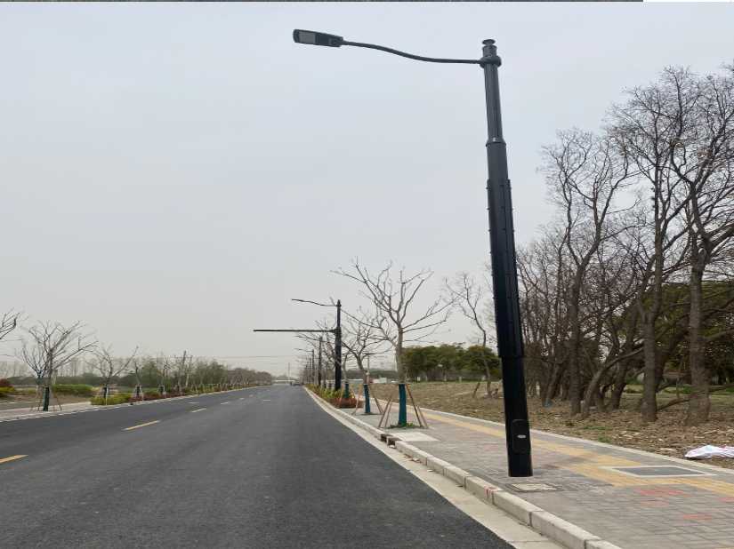 武宁县上海综合杆 太阳能路灯工程